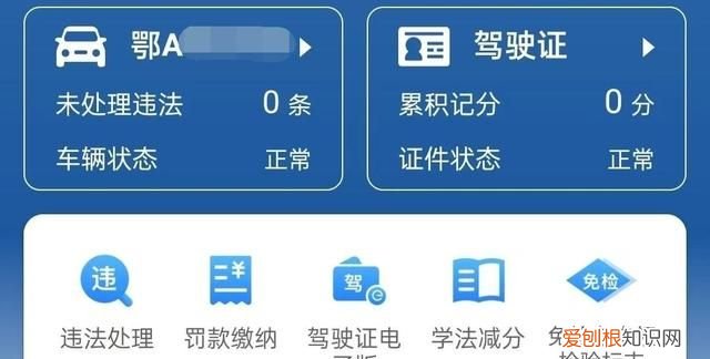 免检车电子标志在哪里看,车辆检验合格标志电子凭证在哪里看?