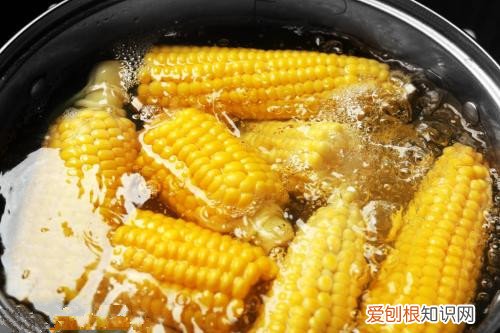 煮玉米需要多长时间 玉米有什么功效