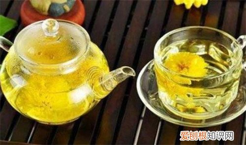 黄菊花的功效与作用黄菊花和白菊花哪个更好