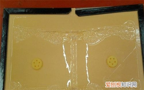 捉老鼠最有效又简单的方法怎么捉老鼠更好