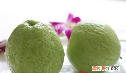 芭乐图片欣赏 芭乐吃法和功效