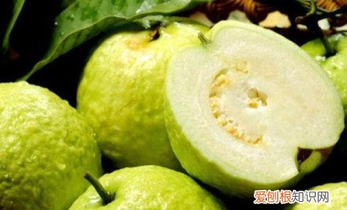 芭乐图片欣赏 芭乐吃法和功效