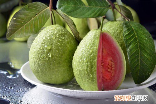 芭乐图片欣赏 芭乐吃法和功效