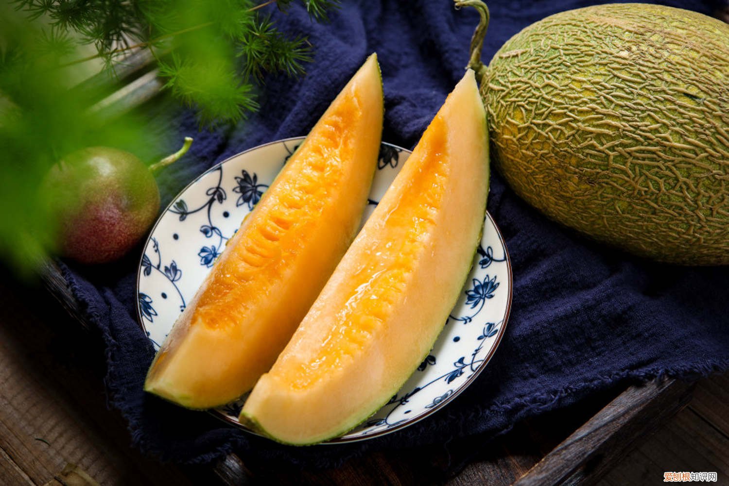 哈密瓜怎么种植盆栽 哈密瓜怎么种植