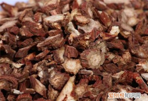 丹参的功效与作用有哪些食用丹参有哪些禁忌