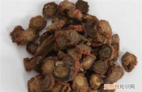 丹参的功效与作用有哪些食用丹参有哪些禁忌