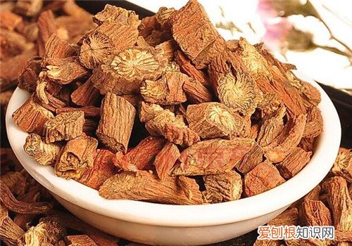 丹参的功效与作用有哪些食用丹参有哪些禁忌