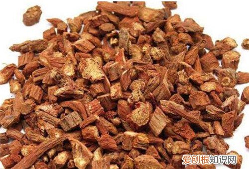 丹参的功效与作用有哪些食用丹参有哪些禁忌