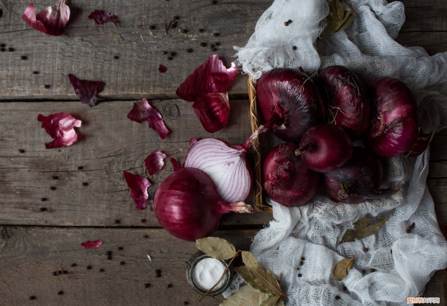 洋葱怎么种植方法视频 洋葱怎么种植