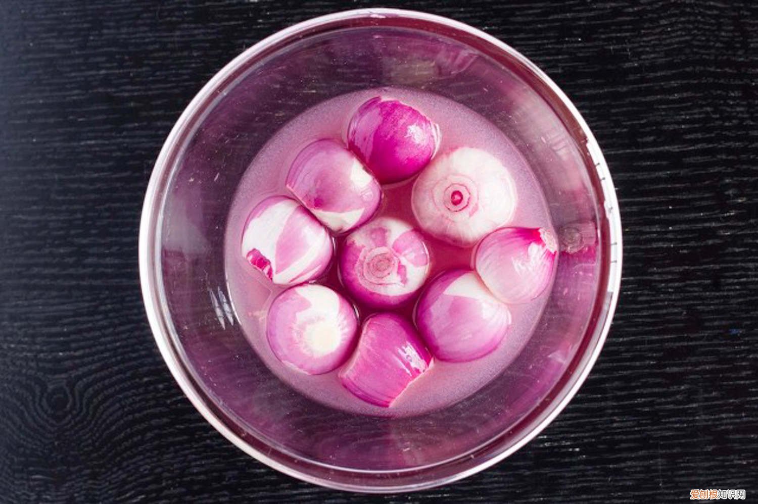 洋葱怎么种植方法视频 洋葱怎么种植