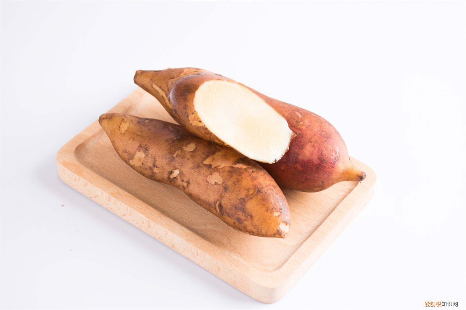 雪莲果怎么种植方法 雪莲果怎么种植