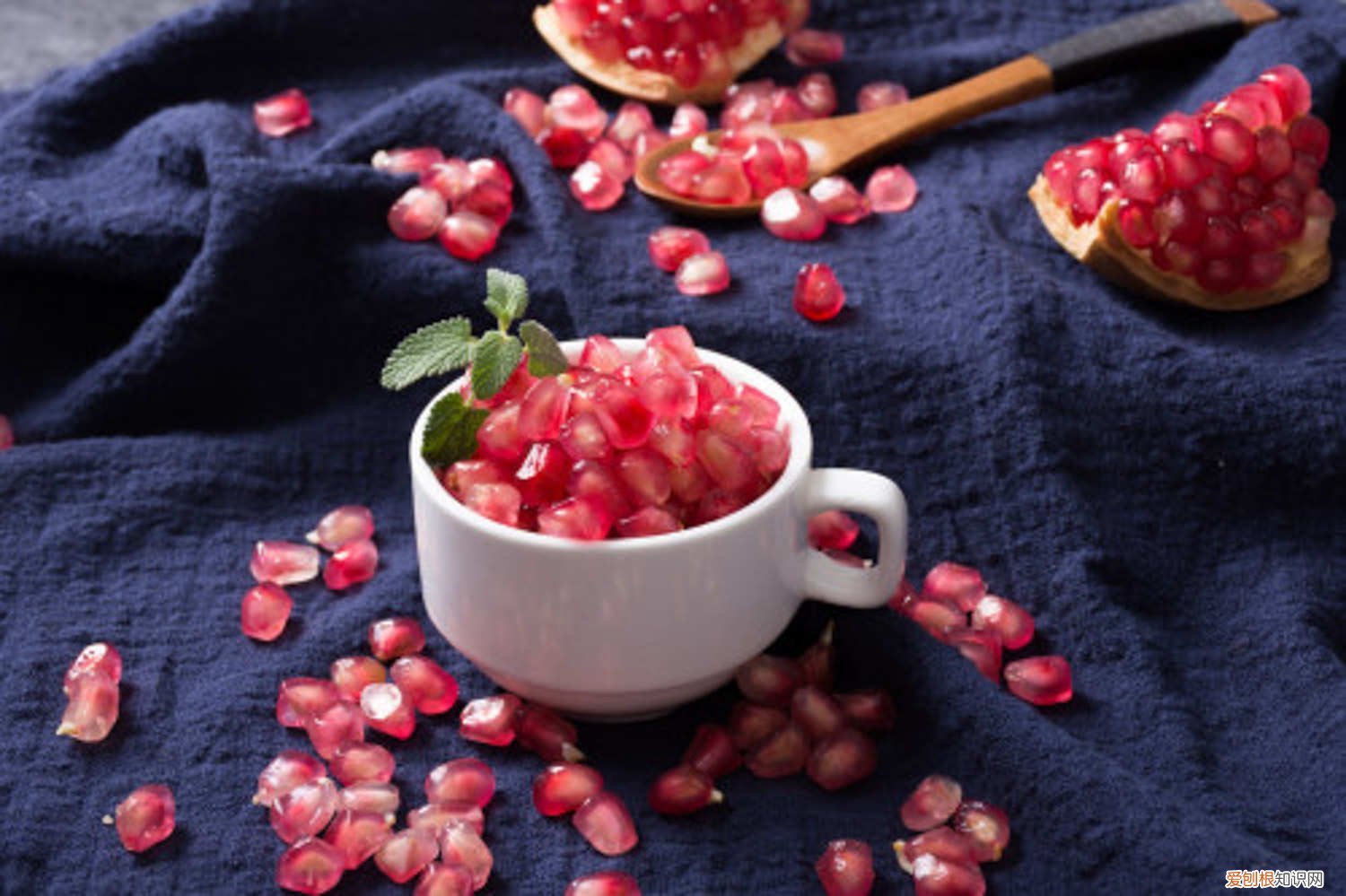 石榴怎么种植,石榴籽可以种吗 石榴籽怎么种小盆栽