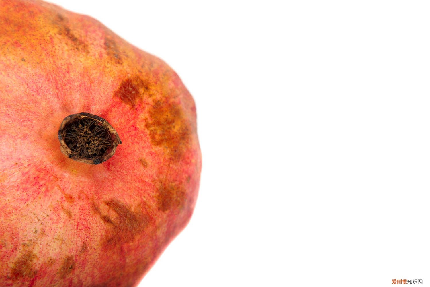 石榴种子怎么种才能发芽 石榴种子怎么种