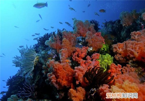 电脑的动态屏保如何设置电脑动态屏保设置的详细步骤