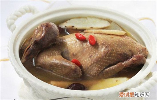 炖鸽子的做法有哪些鸽子的营养价值高吗