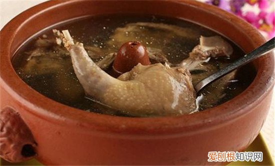 炖鸽子的做法有哪些鸽子的营养价值高吗