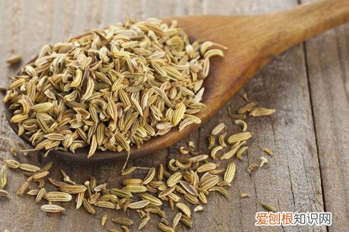 小茴香作用有哪些 孜然和茴香是一样的吗