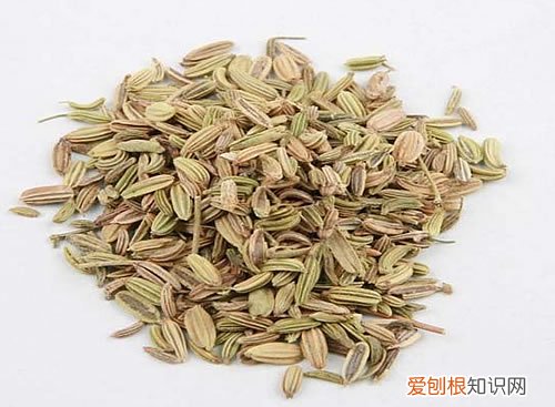 小茴香作用有哪些 孜然和茴香是一样的吗