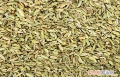 小茴香作用有哪些 孜然和茴香是一样的吗