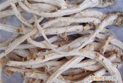 桔梗的功效与作用有哪些桔梗有哪些副作用和禁忌