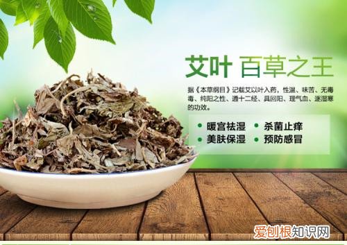 艾蒿泡脚有什么好处艾蒿泡脚能天天泡吗