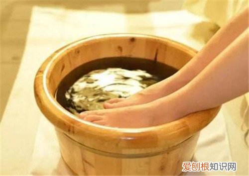艾蒿泡脚有什么好处艾蒿泡脚能天天泡吗