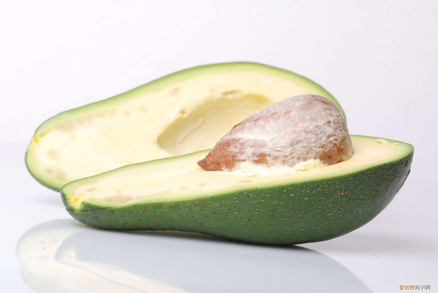 牛油果怎么种植盆栽 牛油果怎么种