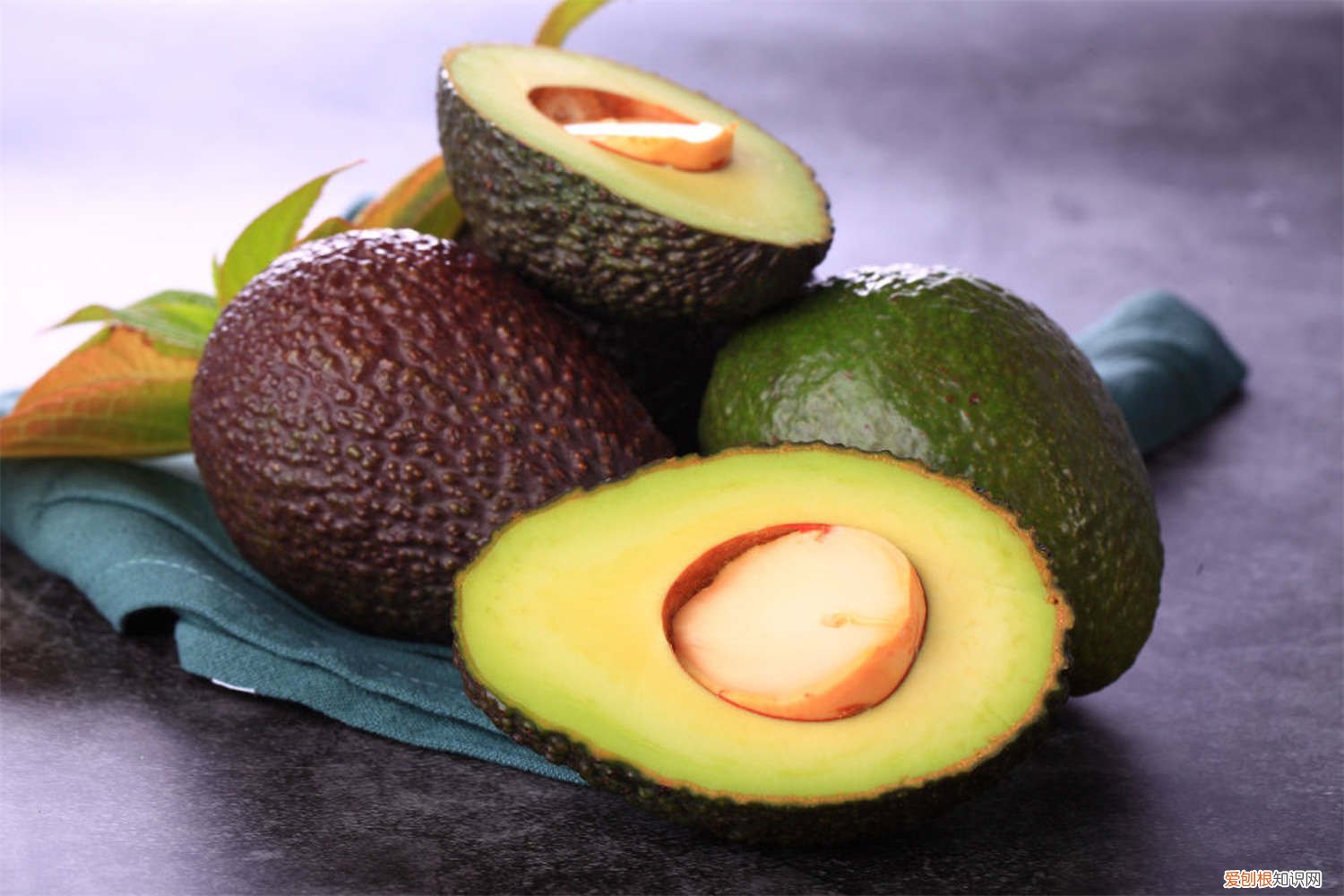 牛油果怎么种植盆栽 牛油果怎么种