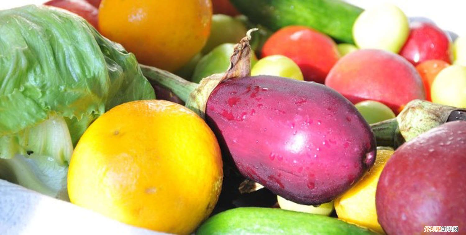 油桶戳个洞，10天就变小菜园，一年不用花钱买菜了！