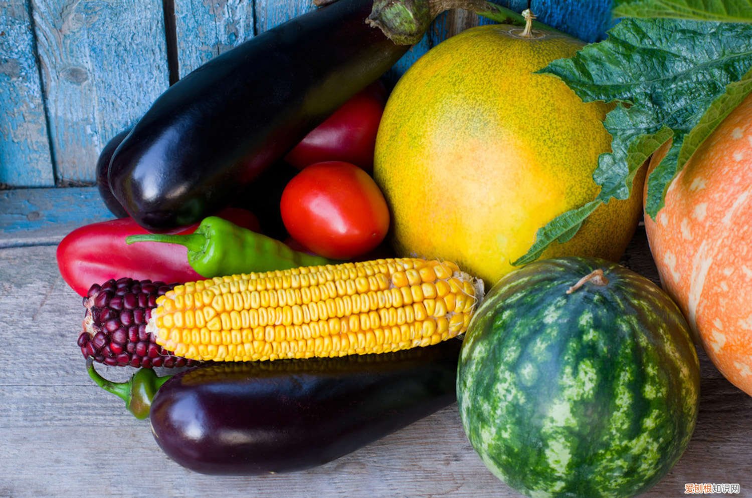 油桶戳个洞，10天就变小菜园，一年不用花钱买菜了！