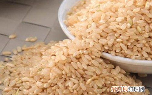 糙米煮水喝有什么作用糙米和什么一起煮粥好