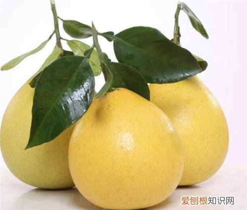 什么东西解酒效果又好又快酒醉后吃什么食物解酒