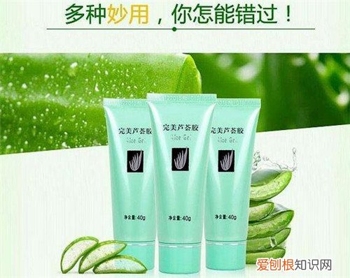 芦荟胶祛痘效果好吗芦荟胶的作用与功效