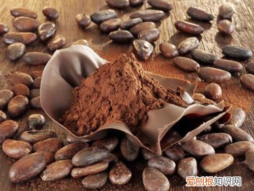 可可豆的功效与作用可可和咖啡有什么区别