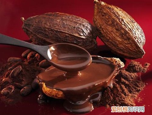 可可豆的功效与作用可可和咖啡有什么区别