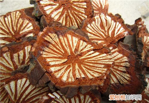 中药红藤的药用价值 红藤能长期吃吗