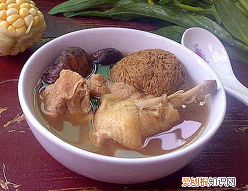 野生猴头菇的功效干的猴头菇怎么做好吃