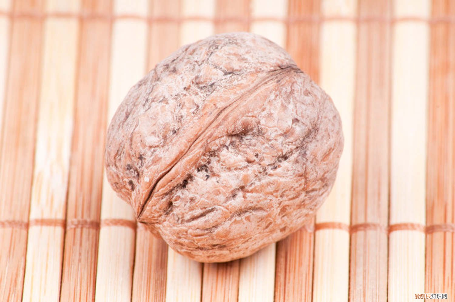 核桃怎么种才会发芽出来 核桃怎么种才会发芽