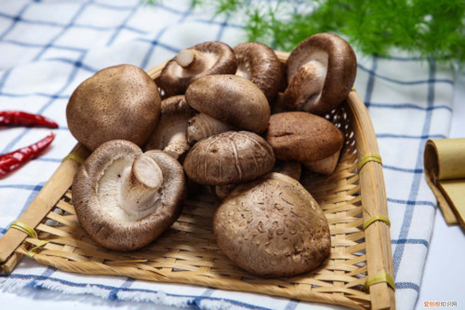 怎么在家种香菇 怎么种香菇呢