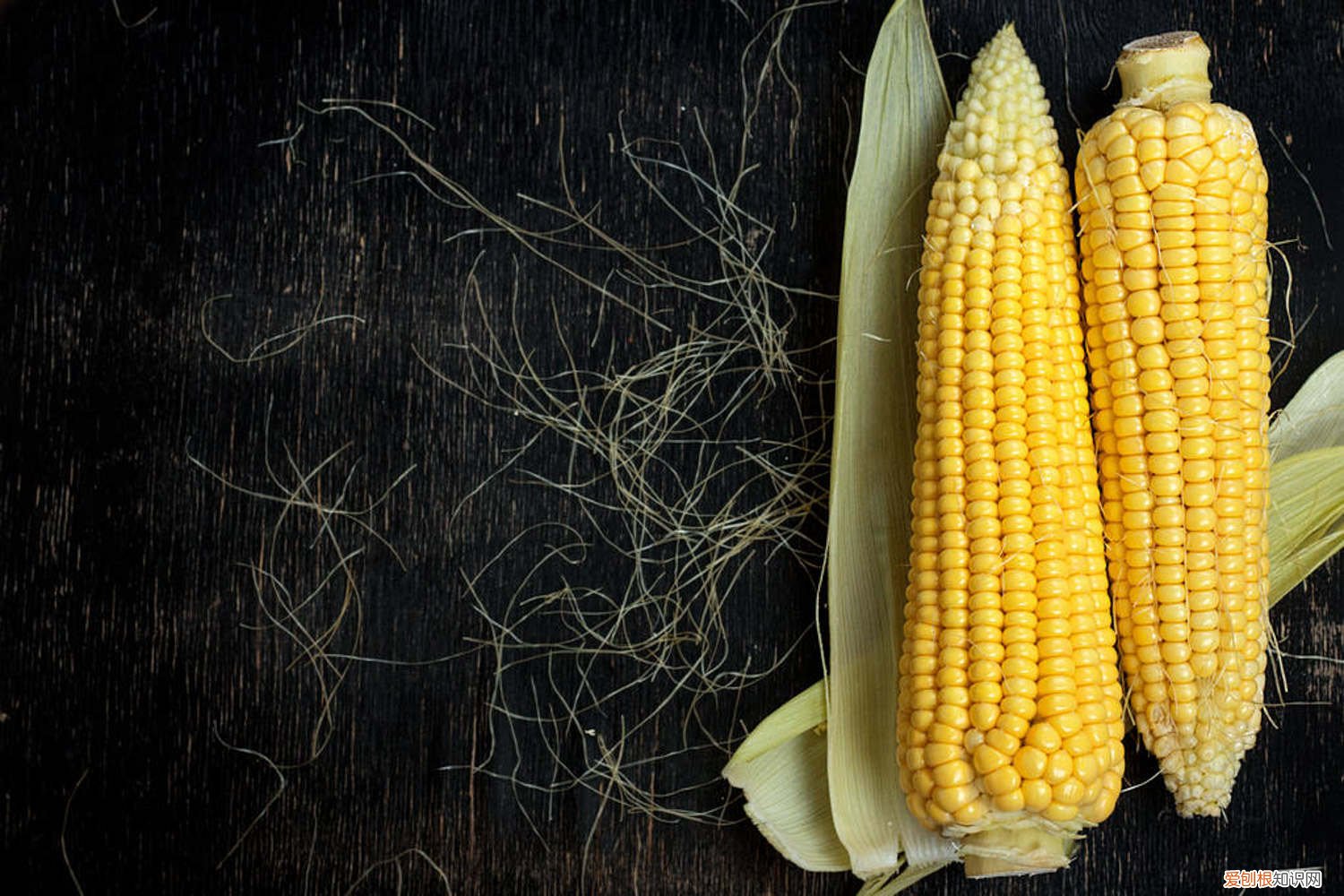 南方甜玉米什么时候种 玉米什么时候种