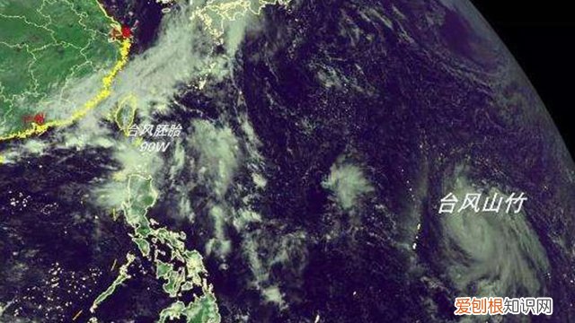 台风因花什么 “台风天”别忘了把花带回家!这3种花“娇贵”的很,吹坏了可救不回来了