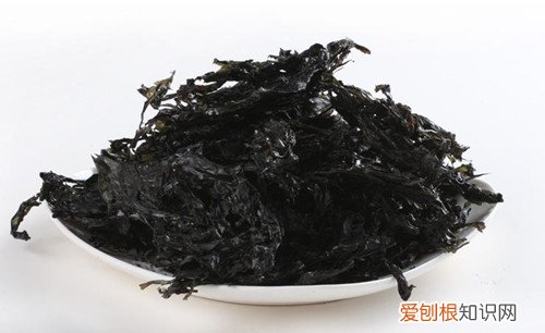 长期用电脑怎样防辐射防辐射的东西都有哪些