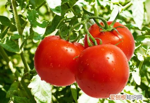 长期用电脑怎样防辐射防辐射的东西都有哪些