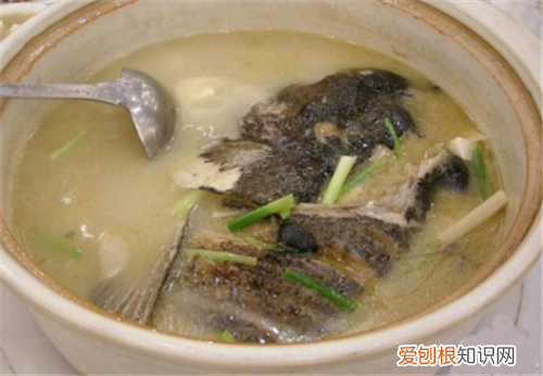 鲢鱼怎么做好吃 红烧鲢鱼的做法