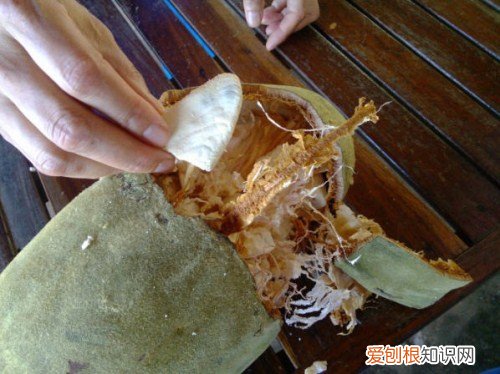 猴面包树果实的营养价值 猴面包树果实怎么食用