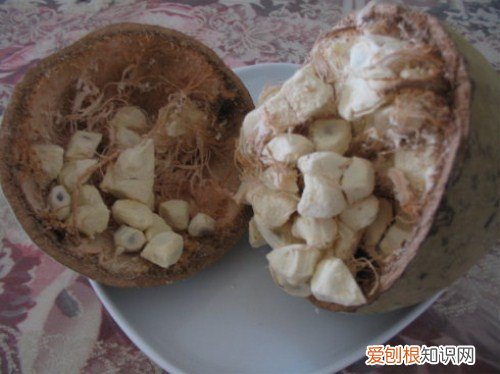 猴面包树果实的营养价值 猴面包树果实怎么食用