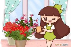 仙客来水浇多了叶子发黄怎么办 给花浇点神仙水，3天黄叶变绿叶，根壮好过冬！