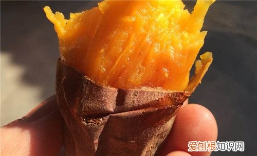 烤红薯用烤盘还是烤网好烤箱烤红薯步骤与注意事项