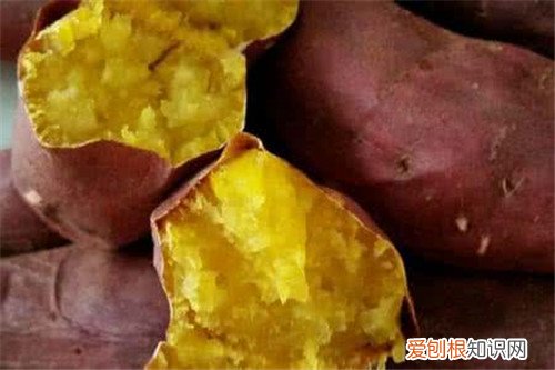 烤红薯用烤盘还是烤网好烤箱烤红薯步骤与注意事项