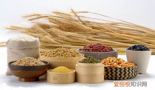 五谷杂粮的营养价值 五谷杂粮的优点有哪些